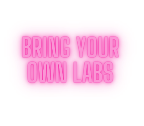 Bring Your Own Labs - Rachel Claire image 0
